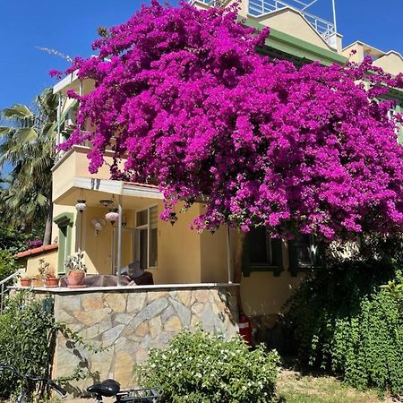 Villa Konak Club Alanya Extérieur photo